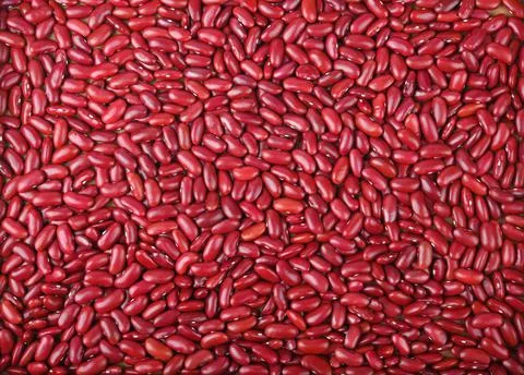 Close up Red beans seeds pattern as background Stock Photos