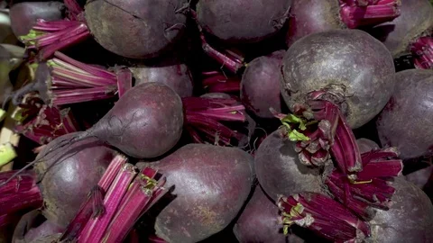 Close up of red beets Stock Footage 75899496