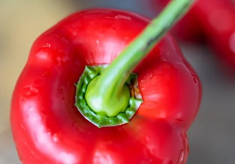 Close up red bell pepper Stock Photos