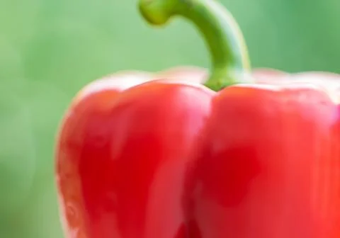 Close up red bell pepper Stock Photos
