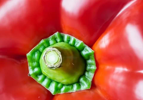 Close up red bell pepper Stock Photos