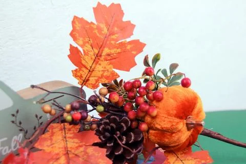 Close-up of red berries in an autumn composition Stock Photos