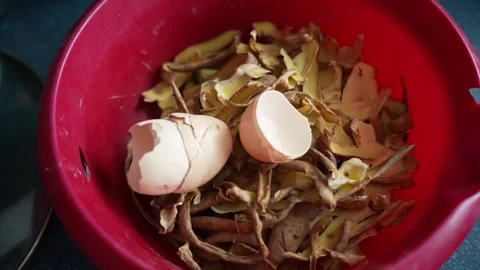 Close-up of red bowl filled with eggshells and vegetable scraps on kitchen Stock Footage 327831984