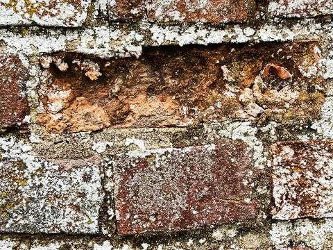 Close up of a red brick wall background with copy space Stock Photos