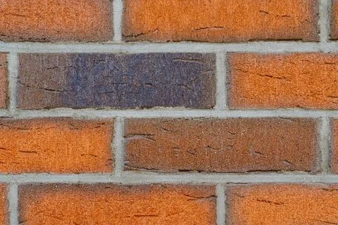 Close-up of red brick wall with a single dark contrasting brick Stock-Fotos