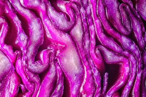 Close up of red cabbage Stock Photos