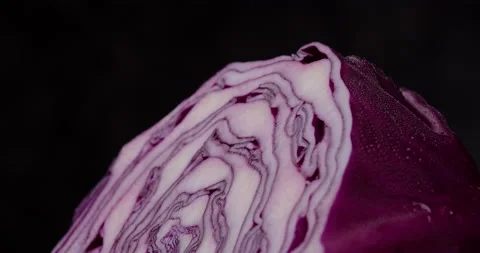 Close-up of red cabbage rotate on dark background. 動画素材 155438134