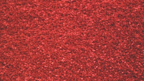 Close up on red carpet Stock Footage 104823980