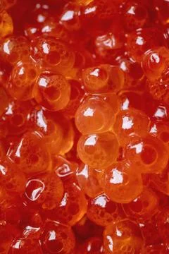 Close up of red caviar Stock Photos