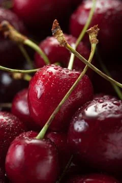 Close-up - red cherries background Stock Photos