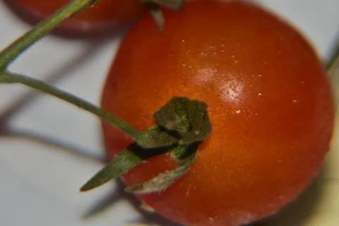 Close up of red cherry tomatoes background 库存照片