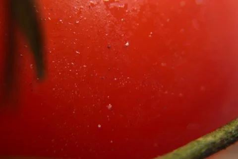 Close up of red cherry tomatoes background 库存照片