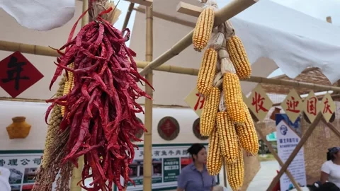 Close-Up of Red Chili and Corn at Harvest Festival Stock Footage 346287466