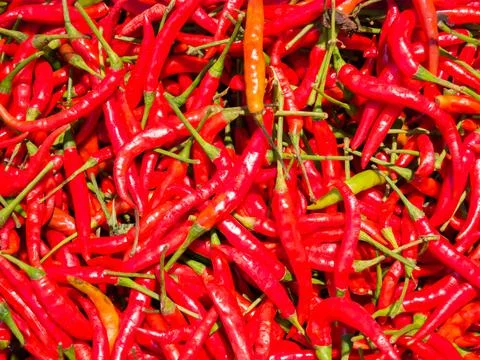 Close up Red chilies Stock Photos