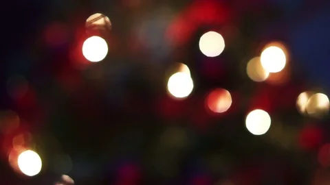 Close up of red christman tree Stock Footage 102408316