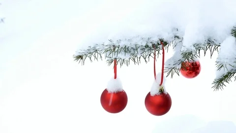 Close-up of red Christmas Baubles Balls hanging on snow covered tree branch. Stock Footage 102401802