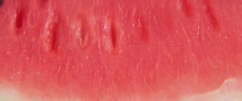 Close-up of red Citrullus lanatus fruit 5.7K sliding scope video Stock Footage 313713371