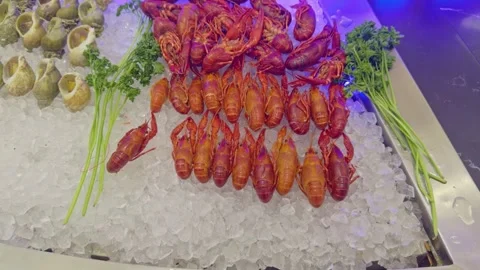 Close Up Of Red Crayfish And Whelks On Ice At Seafood Buffet Stock Footage 324791143