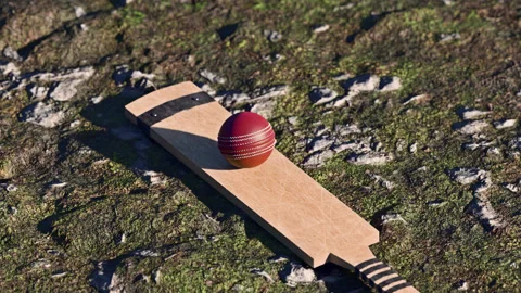 Close-up of red cricket ball and bat sitting Stockbeeldmateriaal 313996074