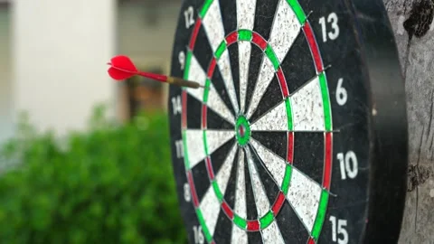 Close-up of red darts throw aim in the center on the tree. A target or blunder Stock Footage 244404274