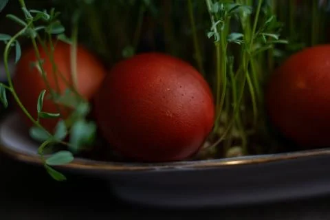 Close up of red Easter eggs with green sprouts in rustic bowl. Stockfoto's