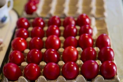 Close up of red eggs on a tray prepared for Easter traditions Stock Photos