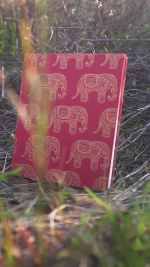 Close-up of a red elephant-patterned notebook resting on grass under soft Stock Footage 306045229