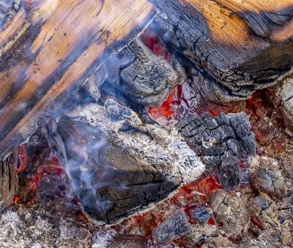 Close up of a red fire flame on a burning firewood tree. Warm winter evening  Foto stock