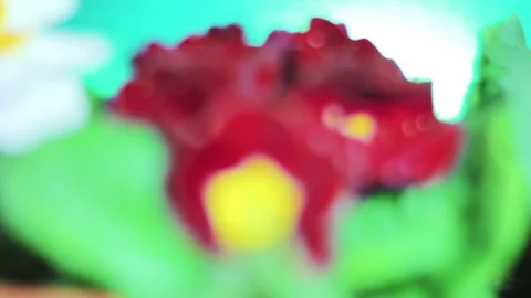 Close-up Red flower macro shooting with water droplets on it Stock-Footage 73924622