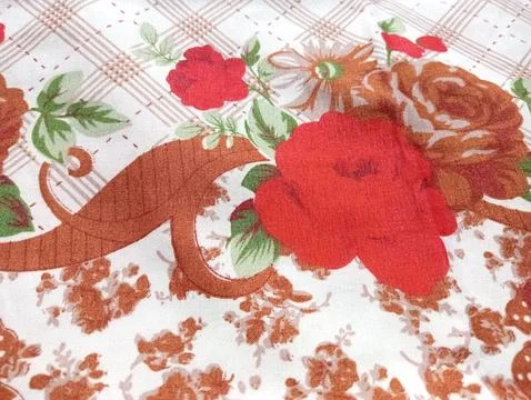 Close up of red flower. Stock Photos