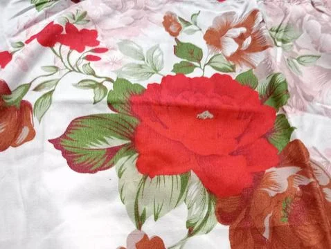 Close up of red flower. Stock Photos