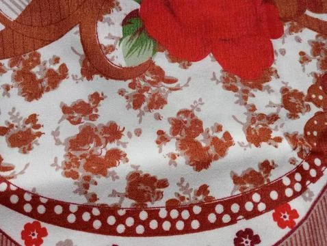 Close up of red flower. Stock Photos