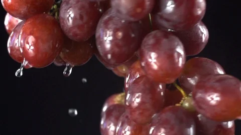 Close-up red grapes on a black background in slow motion Video stock 105416256