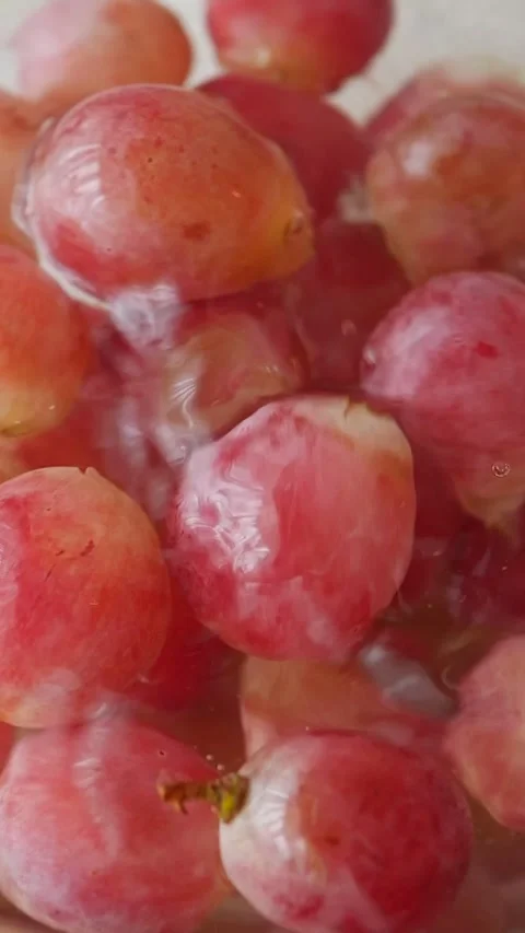 Close-up of Red Grapes dropping in a water Stock Footage 317796163