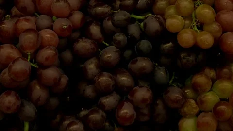 Close up of red grapes Stock Footage 73889291