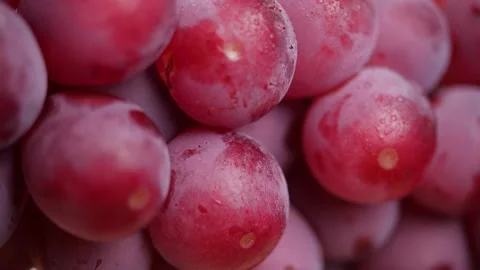 Close-up of red grapes. Grape in dolly shot Stock Footage 143687432