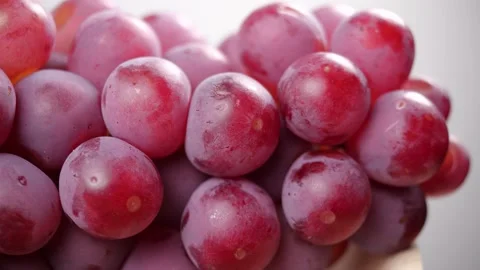 Close-up of red grapes. Grape in dolly shot Stock Footage 143752992