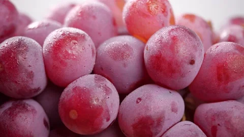 Close-up of red grapes. Grape in dolly shot Stock Footage 143843094