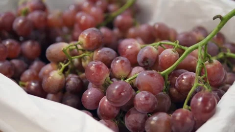 Close-up of red grapes. Grapes as a raw material for wine and other products. Stock Footage 313271085