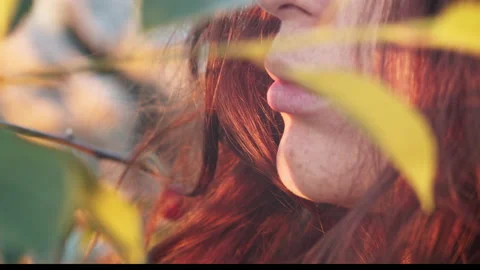 Close up of a red-haired girl looking for cherries on a tree Stock Footage 141935306