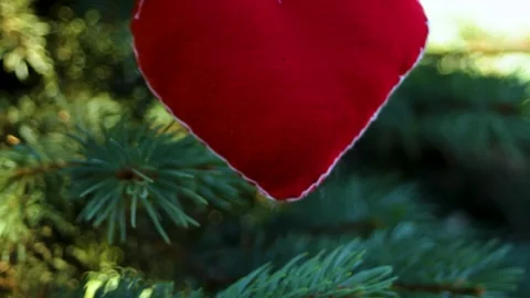 Close-up of the red heart. A toy in the form of a soft heart among the green Stock Footage 296401569
