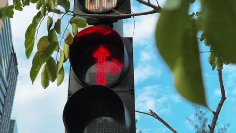 Close up of Red Left Turn Arrow Traffic Light Signal Against Bright Blue Sky Stock Footage 345544642