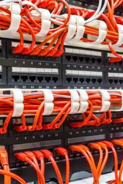 Close up of red network cables connected to switch Stock Photos