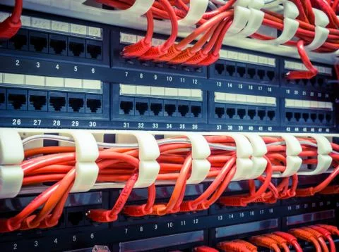 Close up of red network cables connected to switch Stock Photos