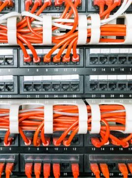 Close up of red network cables connected to switch Stock Photos