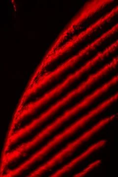 A close up of a red object Stock Photos