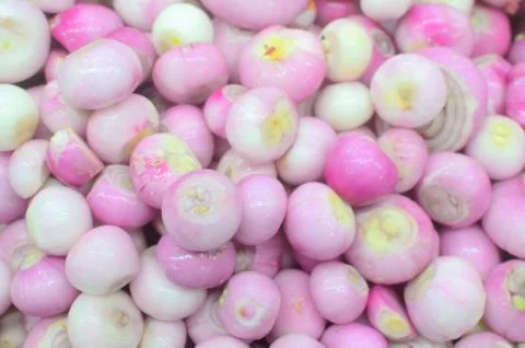 Close up red onion Stock Photos
