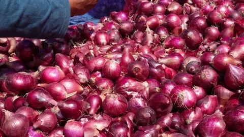 Close-up of the red onions in the market Stock Footage 304065059