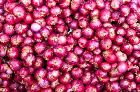 Close up red onions Stock Photos