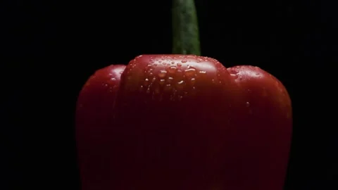 Close-up of a red pepper on a black background. With drops of water. Stock Footage 300678234